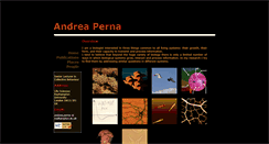 Desktop Screenshot of perna.fr
