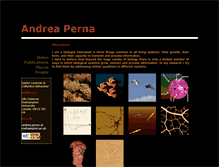 Tablet Screenshot of perna.fr